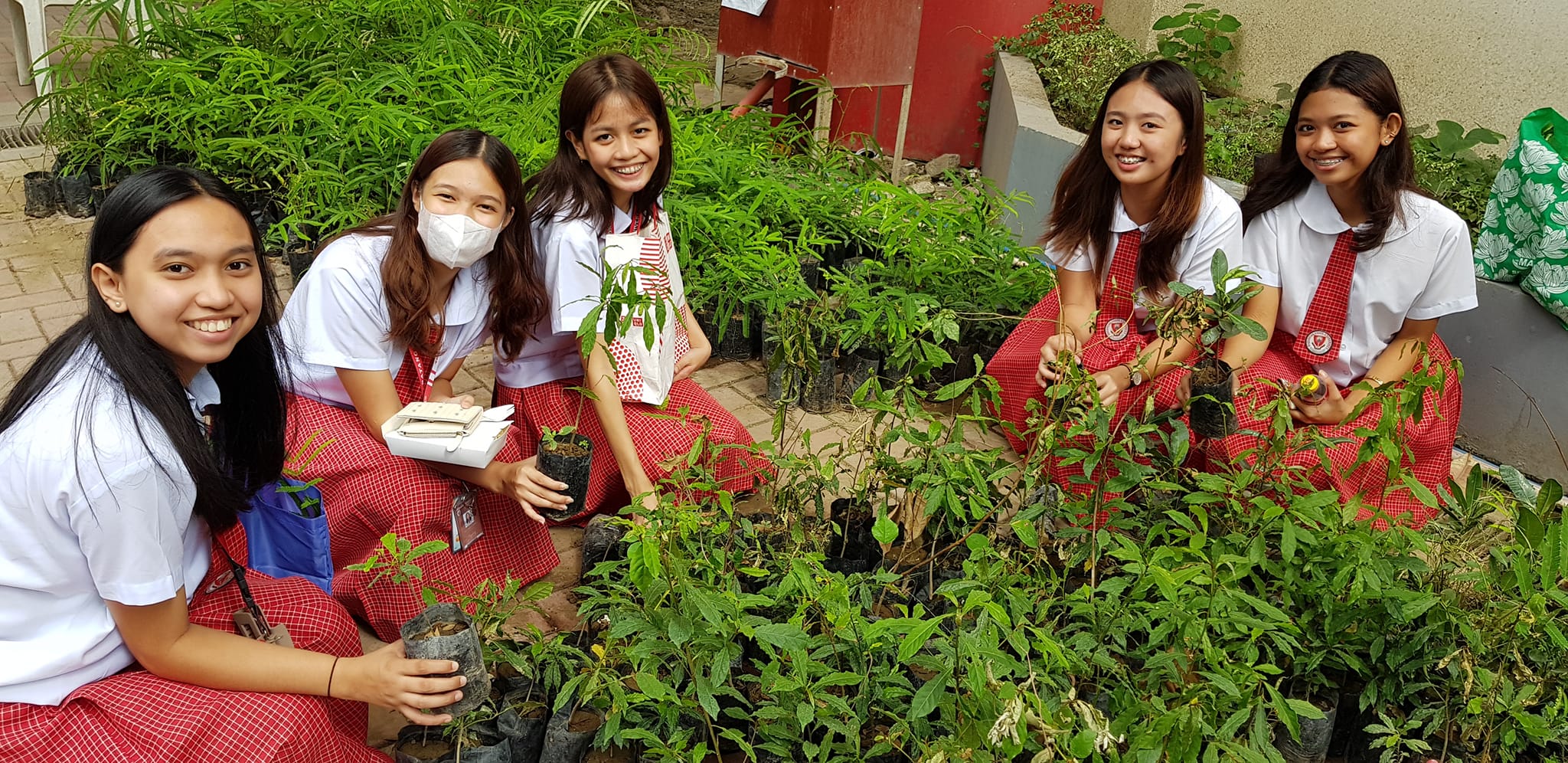 BatStateU sows seeds of sustainability in tree planting drive